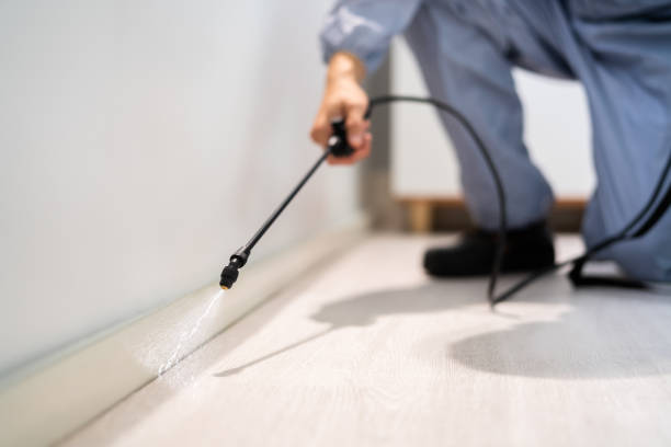 Best Flea Control Services  in Whitg, IN