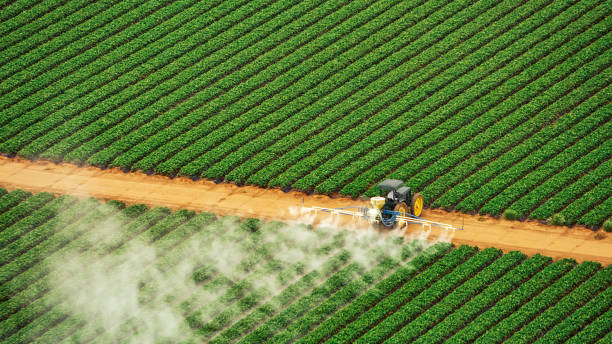 Best Pest Control for Businesses  in Whitg, IN