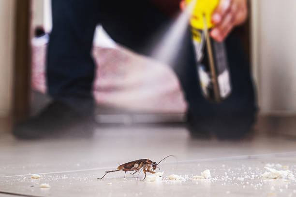 Professional Pest Control in Whiting, IN