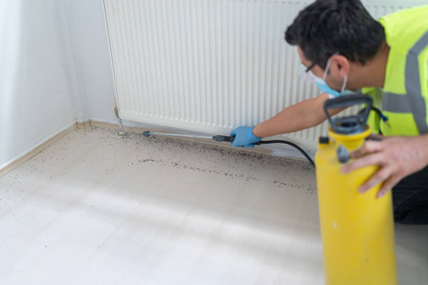 Best Pest Control Near Me  in Whitg, IN